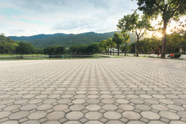 Best Local Driveway Pavers  in Picayune, MS